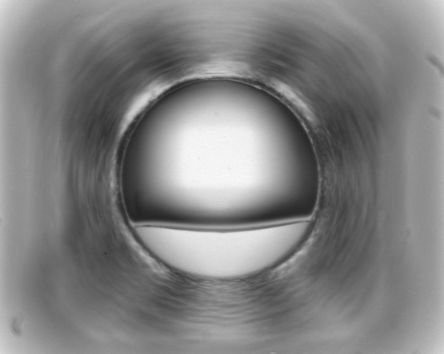 X0000096711469200802051026