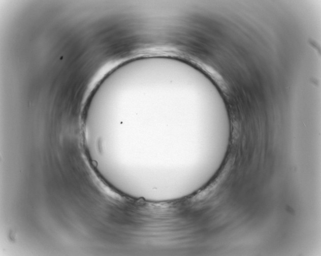 X0000096711470200802051026
