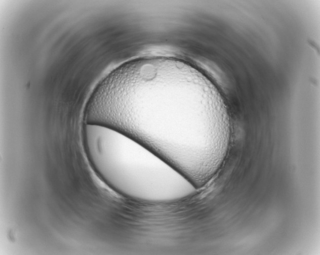 X0000096711471200802051026