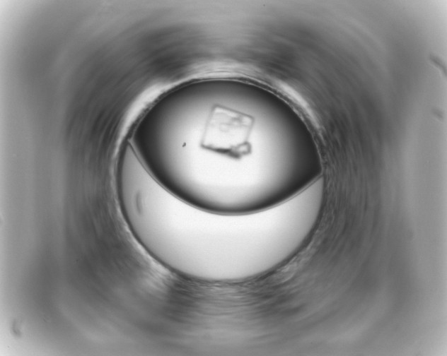 X0000096711472200802051026