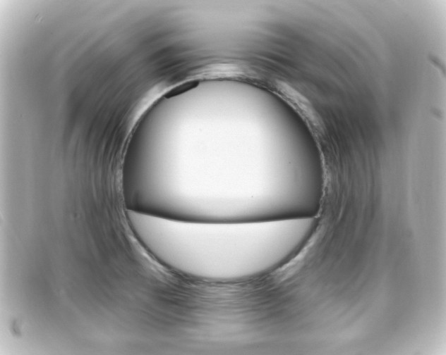 X0000096711473200802051026