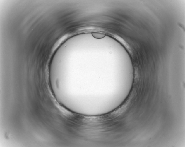 X0000096711474200802051026
