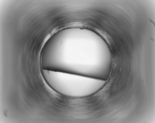 X0000096711475200802051026