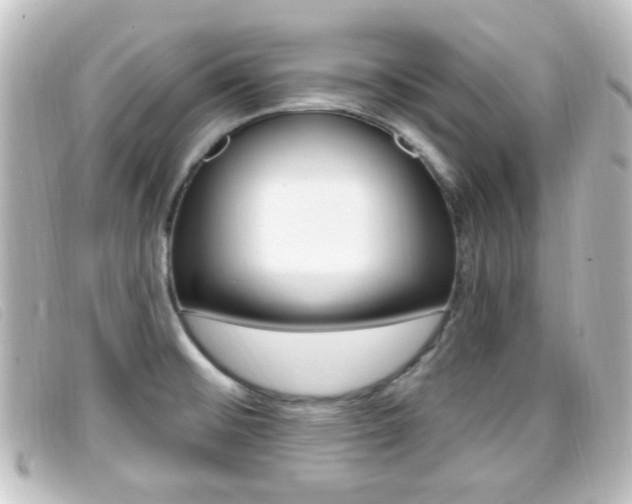 X0000096711476200802051026