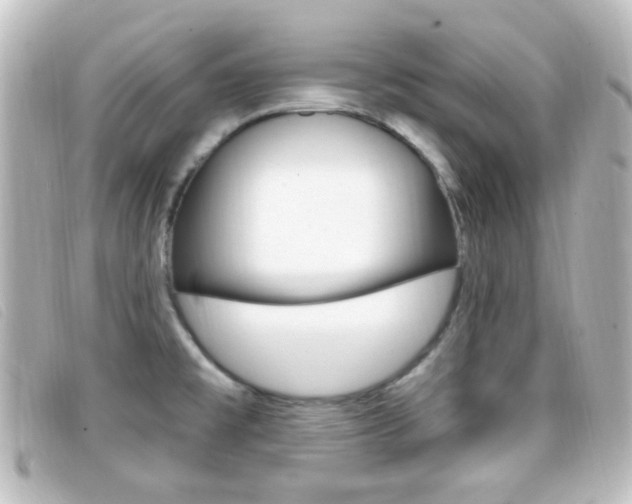 X0000096711477200802051026