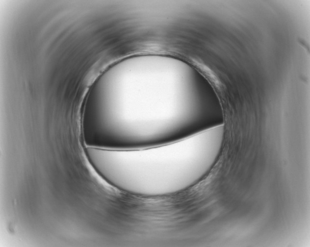 X0000096711479200802051026