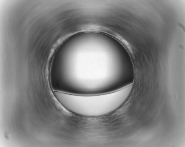 X0000096711480200802051026