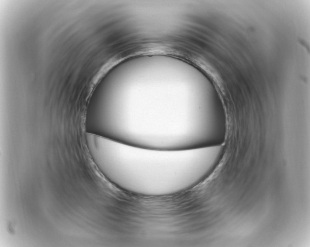 X0000096711481200802051026