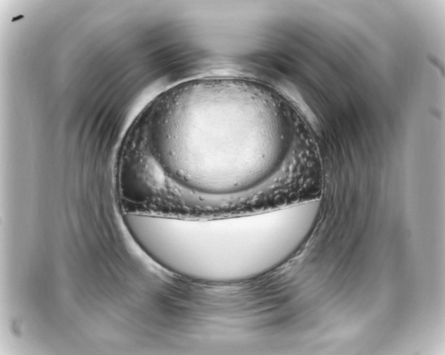 X0000096711483200802051026
