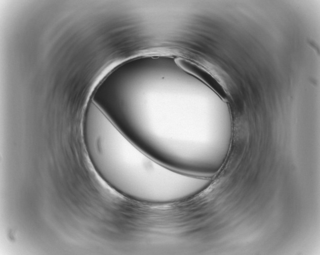 X0000096711484200802051026