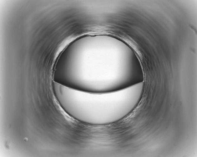 X0000096711485200802051026