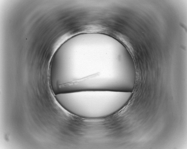 X0000096711487200802051026