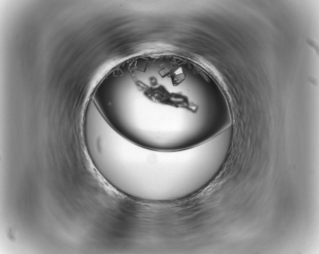 X0000096711488200802051026