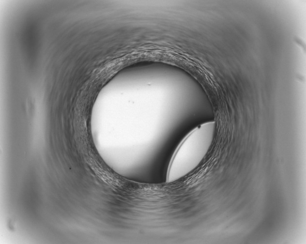 X0000096711489200802051025