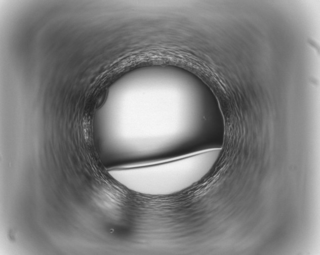 X0000096711490200802051025