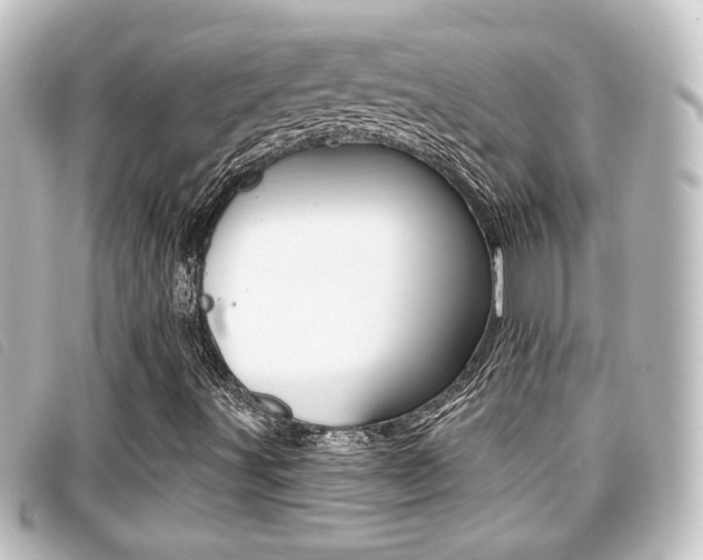 X0000096711491200802051025