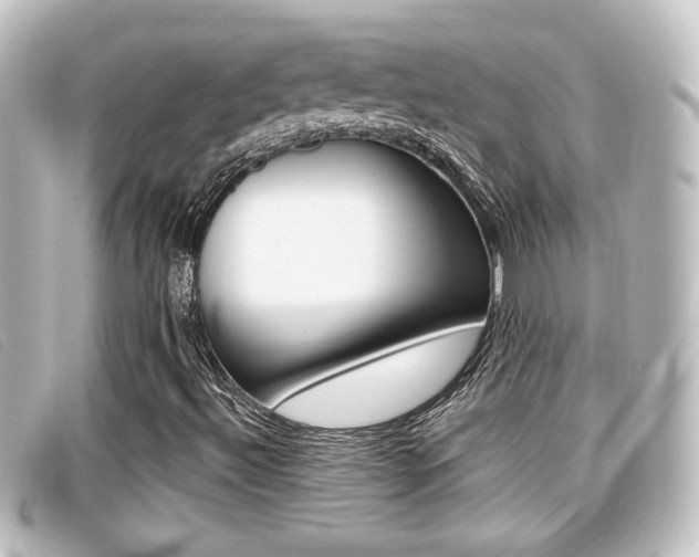 X0000096711492200802051025