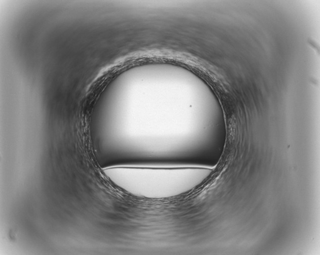 X0000096711494200802051025