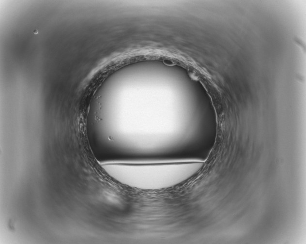 X0000096711495200802051025