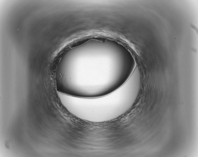X0000096711496200802051025