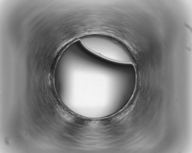 X0000096711497200802051025