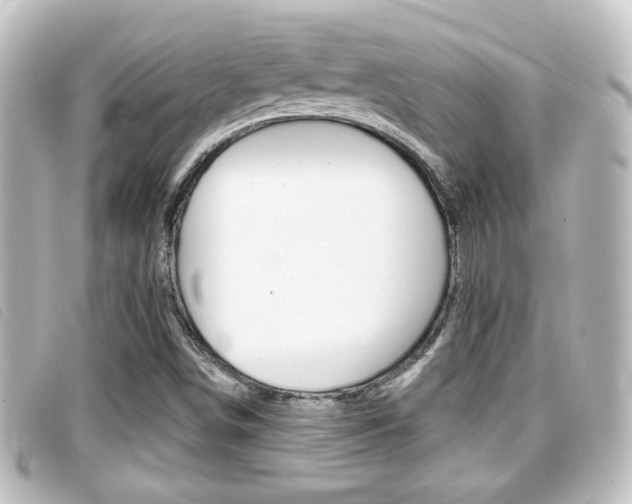 X0000096711498200802051025