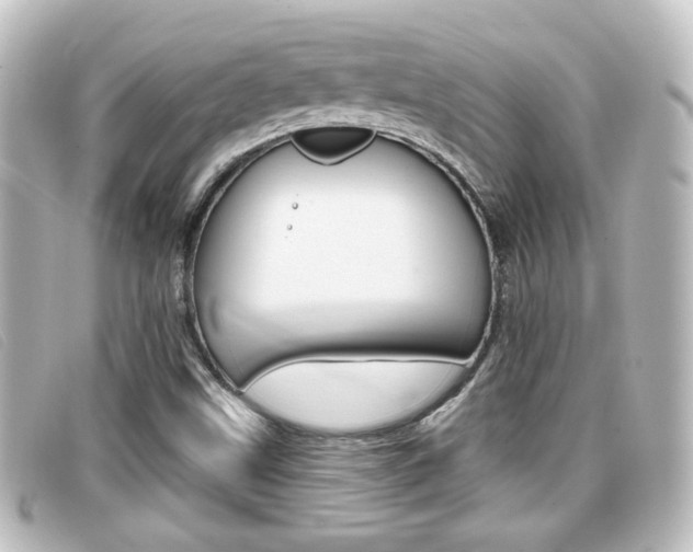 X0000096711499200802051025