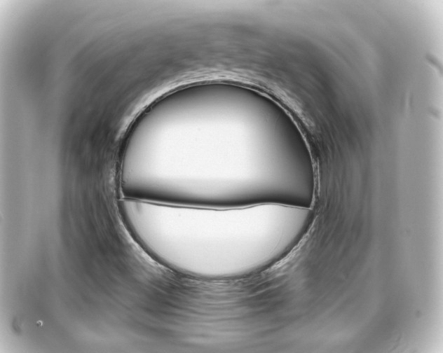 X0000096711500200802051025