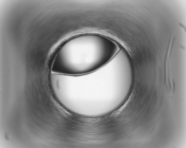 X0000096711502200802051025
