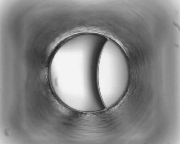 X0000096711503200802051025