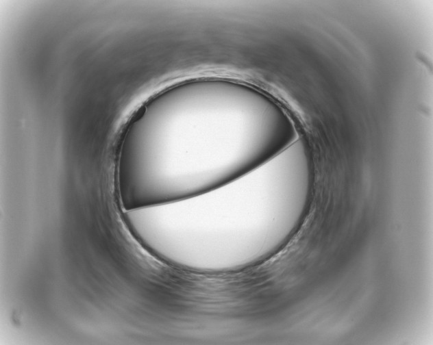 X0000096711504200802051025