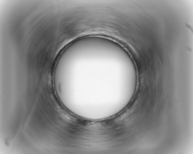X0000096711505200802051025