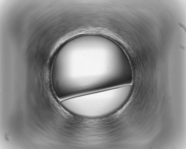X0000096711506200802051025