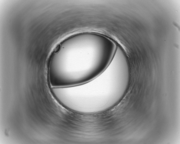 X0000096711508200802051025