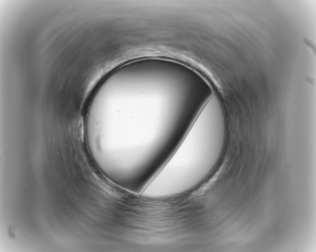 X0000096711509200802051026