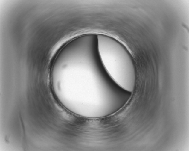 X0000096711511200802051026