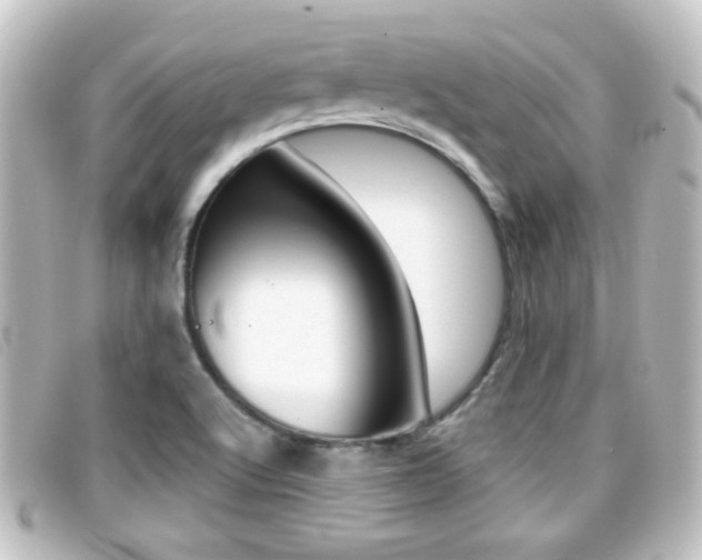 X0000096711512200802051026