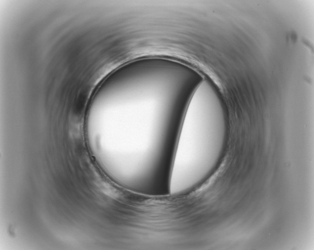 X0000096711513200802051026