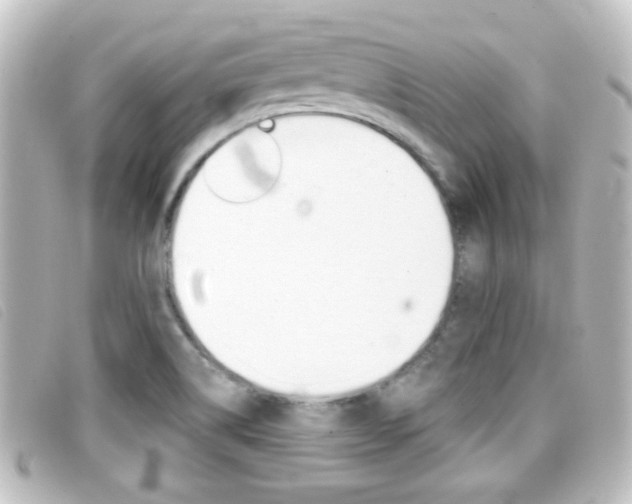 X0000096711514200802051026