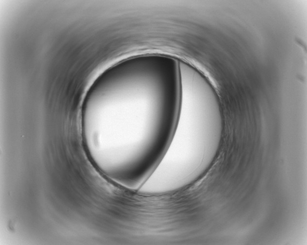 X0000096711516200802051026