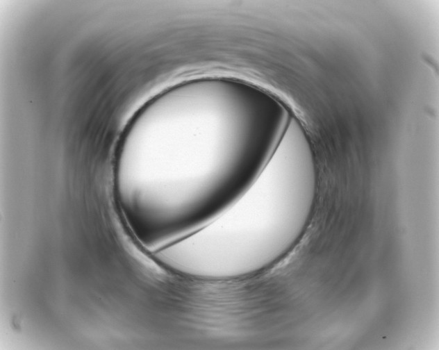 X0000096711518200802051026