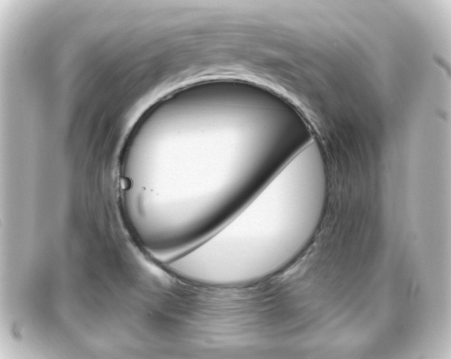 X0000096711519200802051026