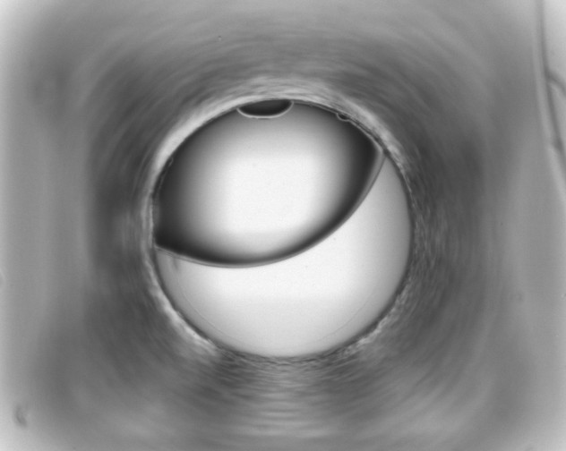 X0000096711520200802051026
