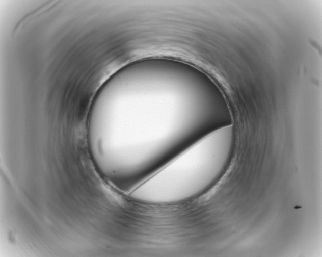 X0000096711521200802051026