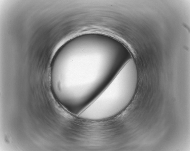 X0000096711522200802051026