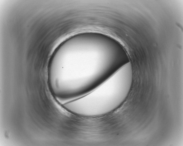 X0000096711523200802051026