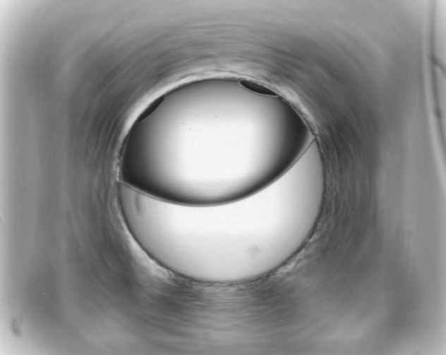 X0000096711524200802051026