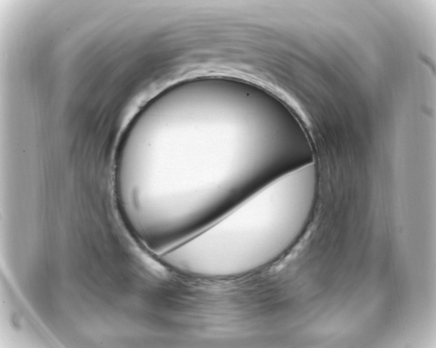 X0000096711525200802051026