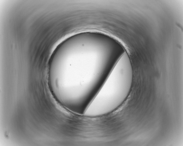 X0000096711526200802051026