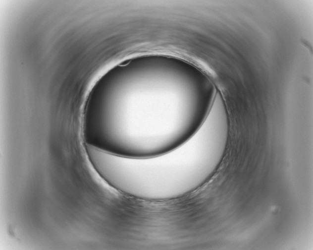 X0000096711528200802051026